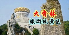 少妇馒头B视频中国浙江-绍兴大香林旅游风景区